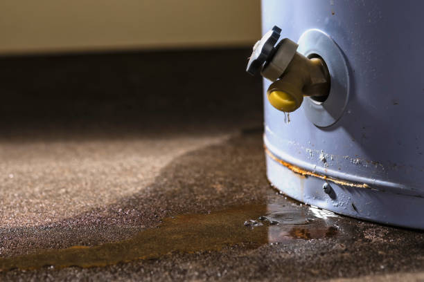 Best Carpet water damage restoration  in Stanford, CA