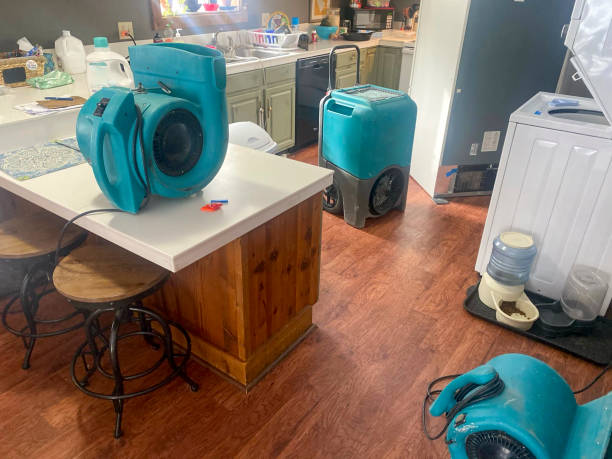 Best Water damage restoration cost  in Stanford, CA