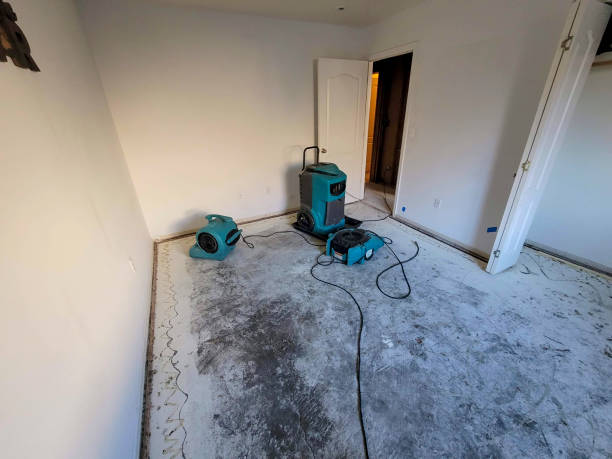 Best Basement water damage restoration  in Stanford, CA