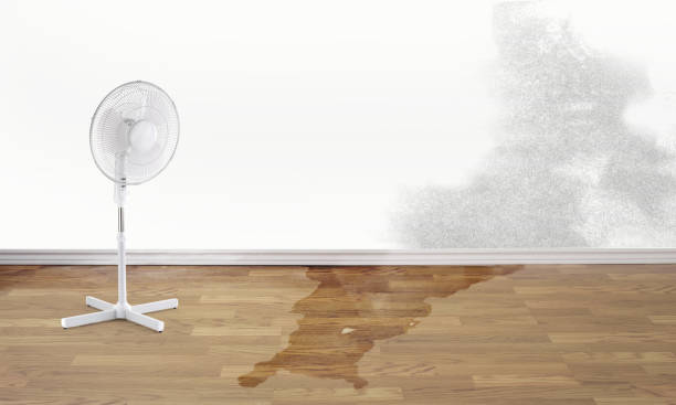 Best Flood restoration services  in Stanford, CA