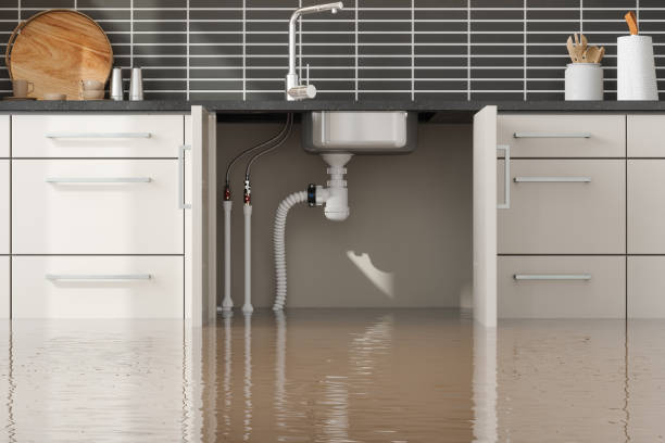 Best Local water damage restoration  in Stanford, CA