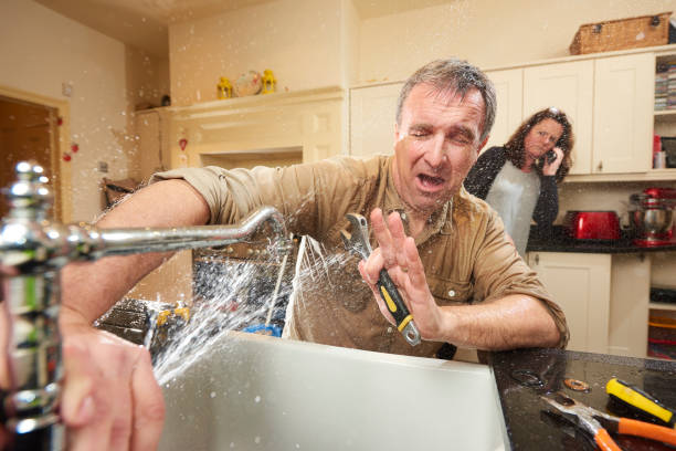 Best Mold removal after water damage  in Stanford, CA